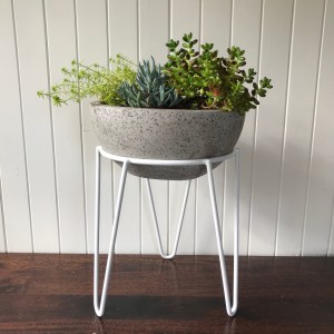 Afternoon Picnic at Heide